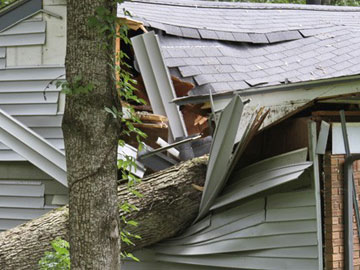 Vinyl Siding Repair & Replacement