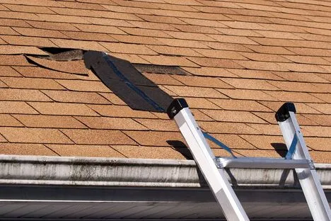 All You Need to Know about Roofing Types