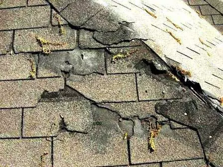 Roof Repair Services in Massachusetts